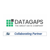 Datagaps Logo